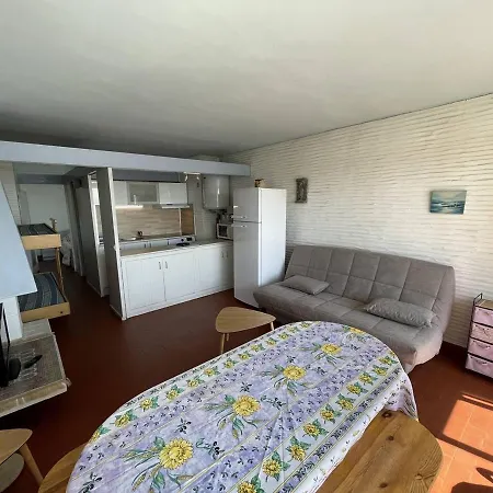 T2 Avec 6 Couchages, Animaux Admis, Parking, Wifi - Fr-1-106-75 Saint-Cyprien (Pyrenees-Orientales)
