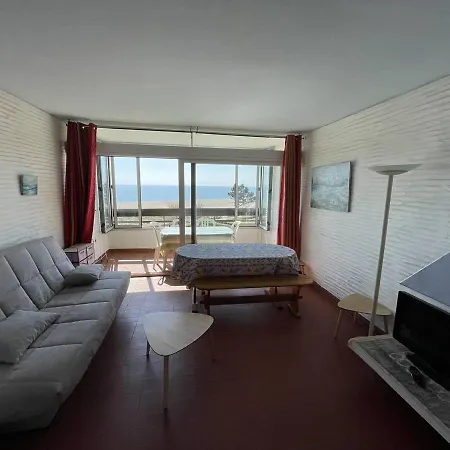 Apartment T2 Avec 6 Couchages, Animaux Admis, Parking, Wifi - Fr-1-106-75 Saint-Cyprien (Pyrenees-Orientales)