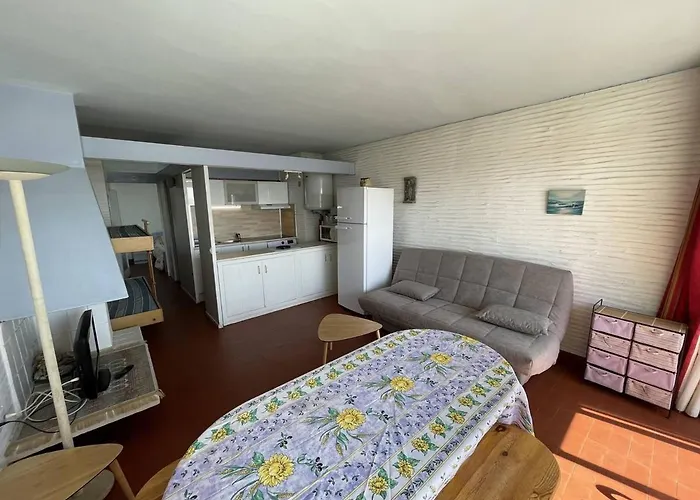T2 Avec 6 Couchages, Animaux Admis, Parking, Wifi - Fr-1-106-75 Saint-Cyprien (Pyrenees-Orientales)