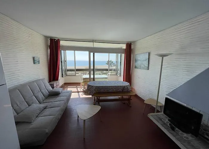 Apartment T2 Avec 6 Couchages, Animaux Admis, Parking, Wifi - Fr-1-106-75 Saint-Cyprien (Pyrenees-Orientales)