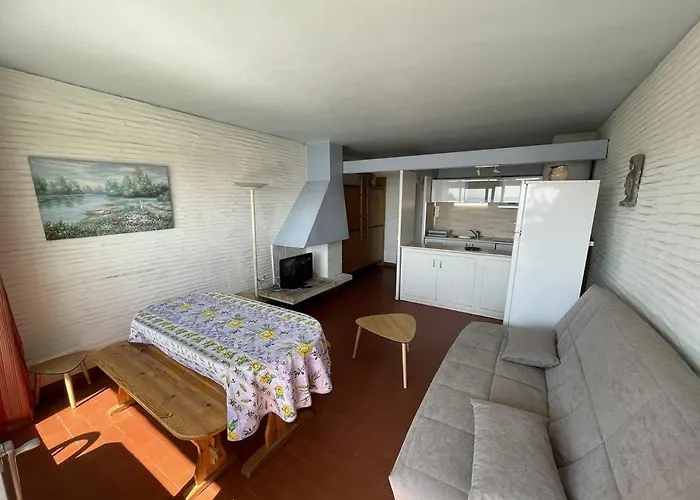 T2 Avec 6 Couchages, Animaux Admis, Parking, Wifi - Fr-1-106-75 Apartment Saint-Cyprien (Pyrenees-Orientales)